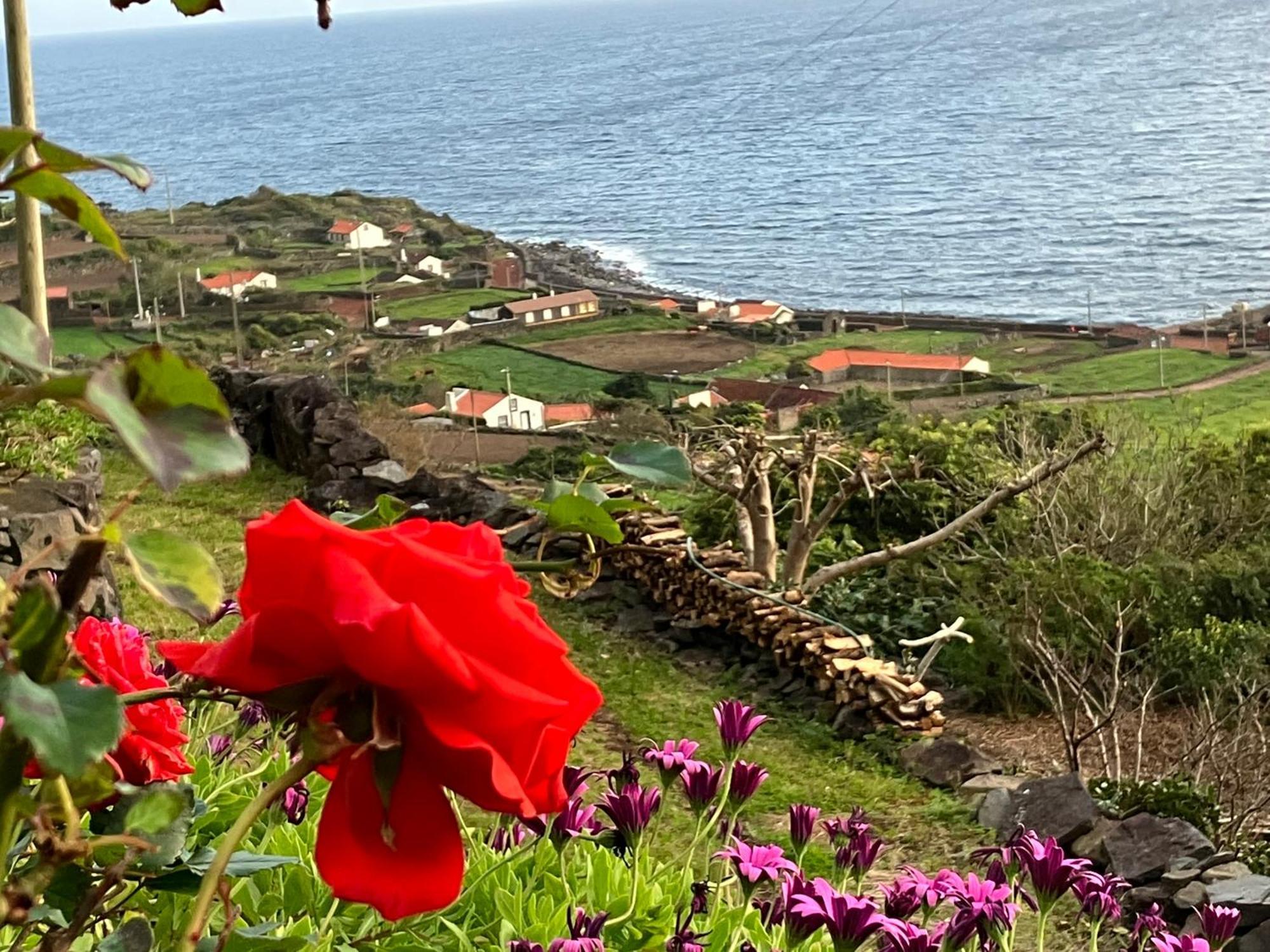 Vistalinda Cabins Calheta  Buitenkant foto